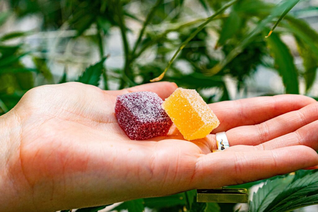 What’s In Your Cannabis Gummies? Things To Know